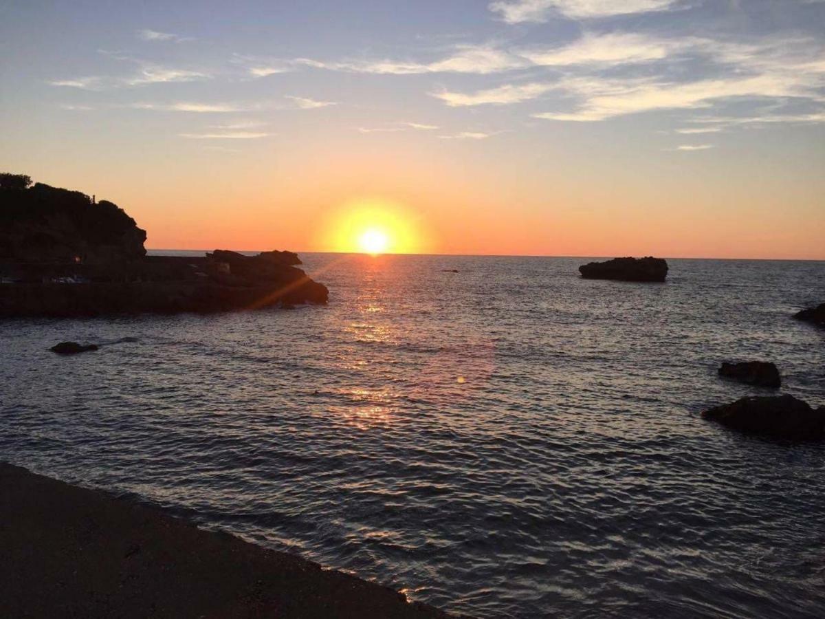 Petit Appartement Douillet Tres Bien Situe Biarritz Eksteriør billede