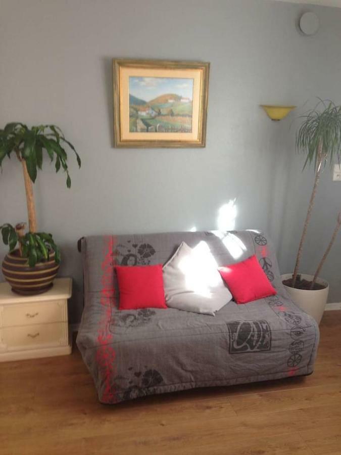 Petit Appartement Douillet Tres Bien Situe Biarritz Eksteriør billede